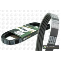 PASEK ALTERNATORA AB056992BG