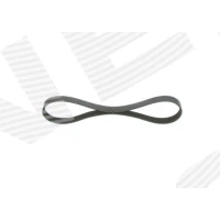 PASEK ALTERNATORA AB082281BO