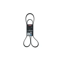 PASEK ALTERNATORA AB185025KK