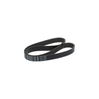 PASEK ALTERNATORA AB313255BO