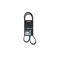 PASEK ALTERNATORA AB443832KK