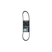 PASEK ALTERNATORA AB444233KK