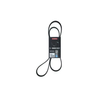 PASEK ALTERNATORA AB549786KK