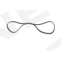 PASEK ALTERNATORA AB973588BO