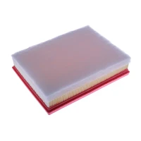 FILTR POWIETRZA AF033745DNC