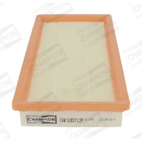 FILTR POWIETRZA AF185009CHP