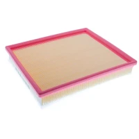 FILTR POWIETRZA AF262792DNC