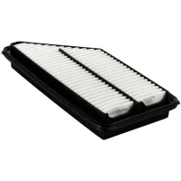 FILTR POWIETRZA AF316185DNC