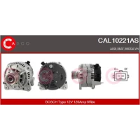Alternator samochodowy AN206013CS