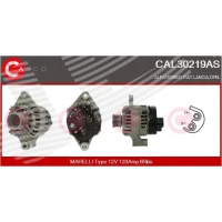 Alternator samochodowy AN361617CS