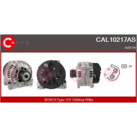 Alternator samochodowy AN494133CS