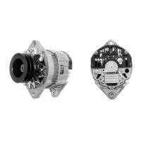 Alternator samochodowy AN827667MH