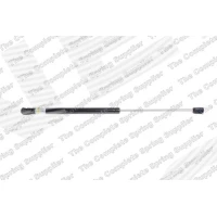 AMORTYZATOR MASKI BGS000529LS