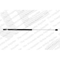 AMORTYZATOR MASKI BGS254859LS