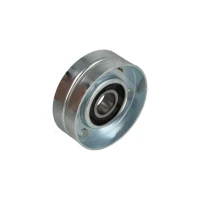 NAPINACZ PASKA ALTERNATORA BT109672HRT