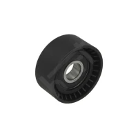 NAPINACZ PASKA ALTERNATORA BT316825HRT
