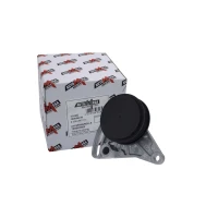 NAPINACZ PASKA ALTERNATORA BT442529AU