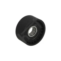NAPINACZ PASKA ALTERNATORA BT669217HRT