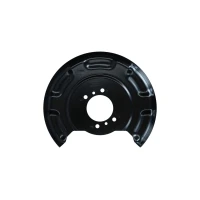 Tarcze hamulcowe ochrona DBS784744KK