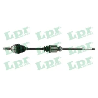 PÓŁOSIE DS087494LPR