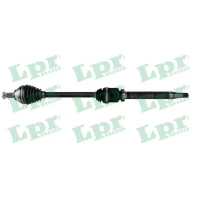 PÓŁOSIE DS387676LPR