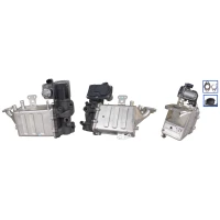 ZAWÓR EGR EV061696DR