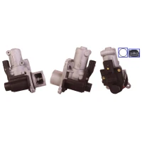 ZAWÓR EGR EV117229DR