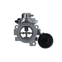 ZAWÓR EGR EV156905VA