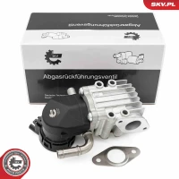 ZAWÓR EGR EV166196ES