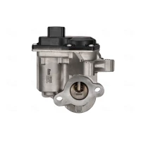 ZAWÓR EGR EV218201NS