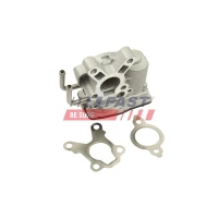 ZAWÓR EGR EV228113FST