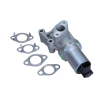 ZAWÓR EGR EV228640MX