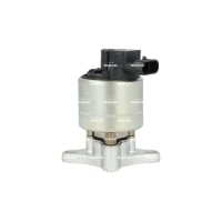 ZAWÓR EGR EV335691NF