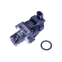 ZAWÓR EGR EV387159DNC