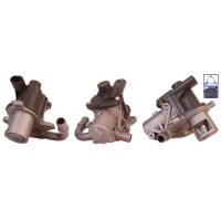 ZAWÓR EGR EV664369DR