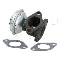 ZAWÓR EGR EV970156PK