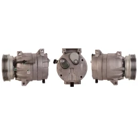 SPRĘŻARKA KLIMATYZACJI RCC248377EL