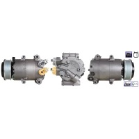 SPRĘŻARKA KLIMATYZACJI RCC796223LCS