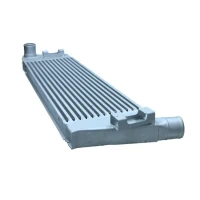 Intercoolery RI093822MX