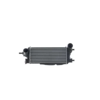 Intercoolery RI185192MH