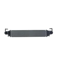 Intercoolery RI289448MH