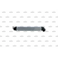 Intercoolery RI381954NF