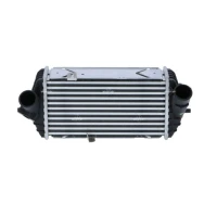 Intercoolery RI491160NF