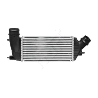 Intercoolery RI514317HRT