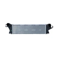 Intercoolery RI575873NF