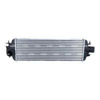 Intercoolery RI587376NF