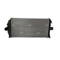 Intercoolery RI591717NF