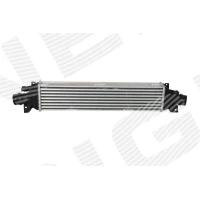 Intercoolery RI666491NF