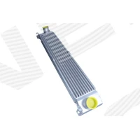 Intercoolery RI676799MX