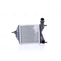Intercoolery RI738891NS